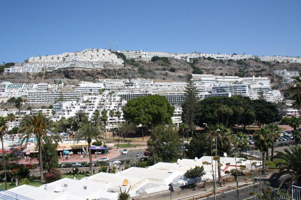 Apartamentos Mayagueez - Adults Only Πουέρτο Ρίκο Εξωτερικό φωτογραφία